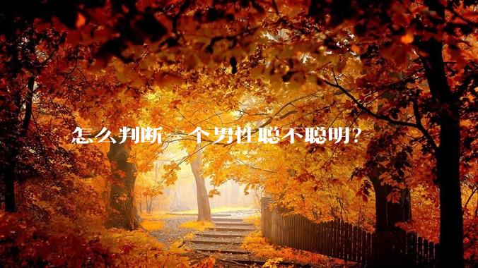 怎么判断一个男性聪不聪明？