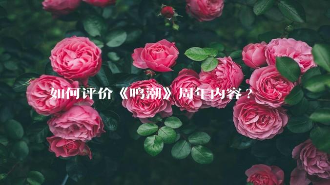 如何评价《鸣潮》周年内容?