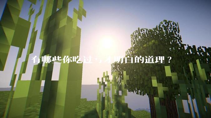 有哪些你吃过亏才明白的道理?