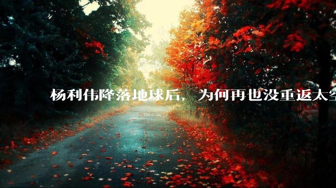 杨利伟降落地球后，为何再也没重返太空？