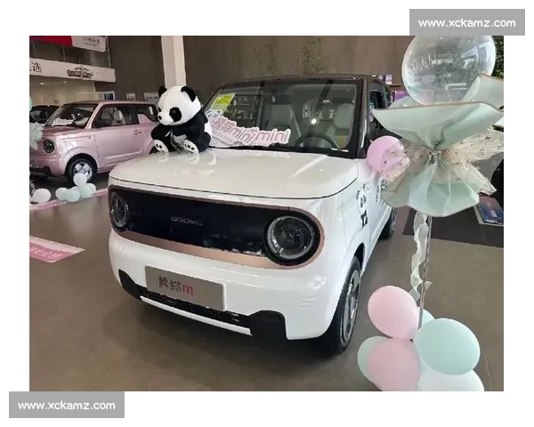 Aleeex! ️现场直击:邂逅阿尔本车迷的熊猫头盔热潮 Aleeex! ️现场直击:邂逅阿尔本车迷的熊猫头盔热潮