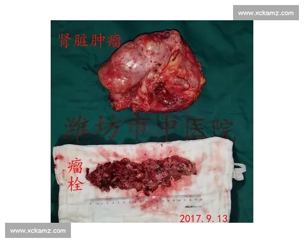 从肾癌病房到商业帝国：韦德如何用三重身份重塑人生