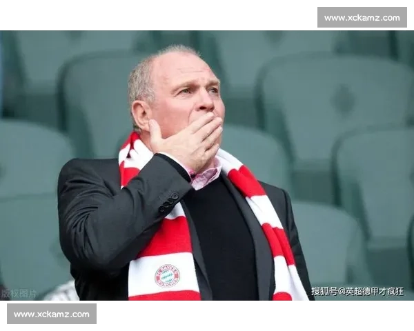 赫内斯：拜仁夏窗成赢家 伤员归队 + 冬窗资金引援双保障