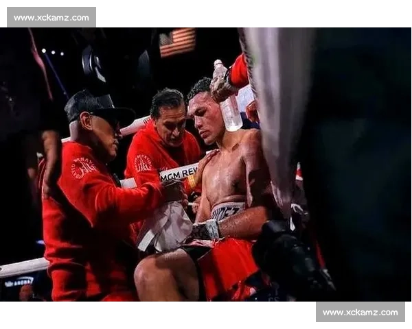 拳台盛宴前:敬贝纳维德斯这杯未竟之酒 拳台盛宴前:敬贝纳维德斯这杯未竟之酒